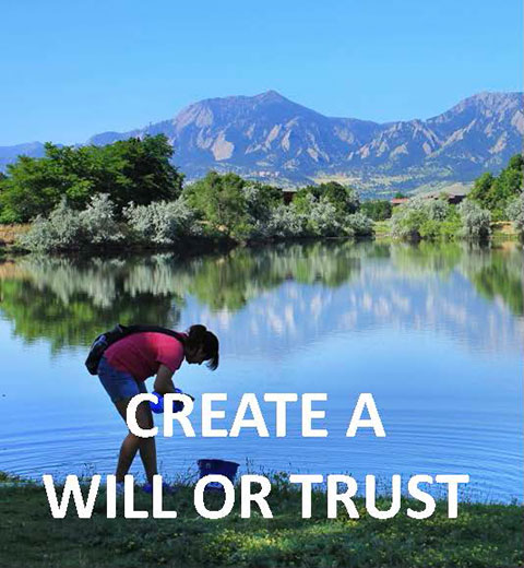 Create a Will or Trust
